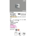 コイズミ照明 AU54581 スポットライト 非調光 LED一体型 電球色 広角 防雨型 サテンシルバー