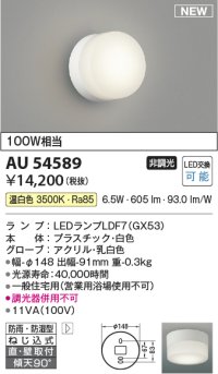 コイズミ照明 AU54589 ブラケット 非調光 LED 温白色 直付・壁付取付 防雨・防湿型 白色