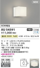 コイズミ照明 AU54591 ブラケット 非調光 LED 温白色 直付・壁付取付 防雨・防湿型 白色