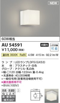 コイズミ照明 AU54591 ブラケット 非調光 LED 温白色 直付・壁付取付 防雨・防湿型 白色