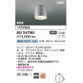 コイズミ照明 AU54780 シーリング 非調光 LED 昼白色 密閉型 防雨・防湿型 サテンシルバー