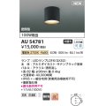 コイズミ照明 AU54781 シーリング 非調光 LED 電球色 密閉型 防雨・防湿型 サテンブラック