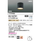 コイズミ照明 AU54781 シーリング 非調光 LED 電球色 密閉型 防雨・防湿型 サテンブラック