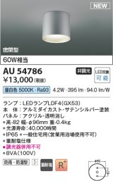 コイズミ照明 AU54786 シーリング 非調光 LED 昼白色 密閉型 防雨・防湿型 サテンシルバー