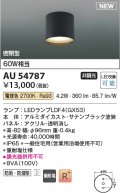 コイズミ照明 AU54787 シーリング 非調光 LED 電球色 密閉型 防雨・防湿型 サテンブラック