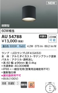 コイズミ照明 AU54788 シーリング 非調光 LED 昼白色 密閉型 防雨・防湿型 サテンブラック