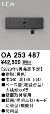 オーデリック OA253487 センサ ベース型人検知カメラ 壁面取付専用 防雨型 黒色