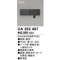 オーデリック OA253487 センサ ベース型人検知カメラ 壁面取付専用 防雨型 黒色