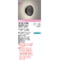 オーデリック OB255373BR(ランプ別梱) ブラケットライト 調光調色 Bluetooth リモコン別売 LEDランプ 高演色LED 木材