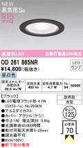 オーデリック OD261865NR(ランプ別梱) エクステリア ダウンライト 埋込穴φ125 LEDランプ 昼白色 高気密SB 高演色LED 軒下取付専用 防雨型 ブラック