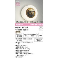 オーデリック OG041607LCR(ランプ別梱) エクステリア ポーチライト LEDランプ 電球色 高演色LED 防雨型