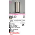 オーデリック OG254257R エクステリア ポーチライト LED一体型 電球色 高演色LED 防雨型 民芸塗