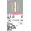 オーデリック OG254498R エクステリア ポーチライト LED一体型 電球色 高演色LED 防雨型 白木調