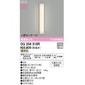 オーデリック OG254510R エクステリア ポーチライト LED一体型 電球色 高演色LED 人感センサー付 防雨型 オフホワイト