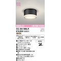 オーデリック OG254599LR(ランプ別梱) エクステリア ポーチライト LEDランプ 電球色 高演色LED 防雨型 黒色