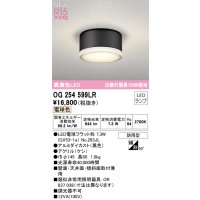 オーデリック OG254599LR(ランプ別梱) エクステリア ポーチライト LEDランプ 電球色 高演色LED 防雨型 黒色