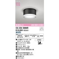 オーデリック OG254599NR(ランプ別梱) エクステリア ポーチライト LEDランプ 昼白色 高演色LED 防雨型 黒色