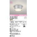 オーデリック OG254600LR(ランプ別梱) エクステリア ポーチライト LEDランプ 電球色 高演色LED 防雨型 マットシルバー