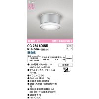 オーデリック OG254600NR(ランプ別梱) エクステリア ポーチライト LEDランプ 昼白色 高演色LED 防雨型 マットシルバー