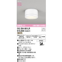 オーデリック OG254601LR(ランプ別梱) エクステリア ポーチライト LEDランプ 電球色 高演色LED 防雨型 オフホワイト