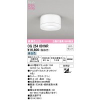 オーデリック OG254601NR(ランプ別梱) エクステリア ポーチライト LEDランプ 昼白色 高演色LED 防雨型 オフホワイト