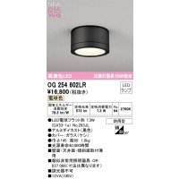 オーデリック OG254602LR(ランプ別梱) エクステリア ポーチライト LEDランプ 電球色 高演色LED 防雨型 黒色