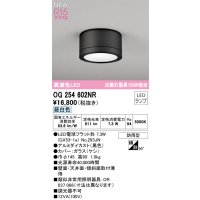 オーデリック OG254602NR(ランプ別梱) エクステリア ポーチライト LEDランプ 昼白色 高演色LED 防雨型 黒色