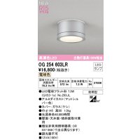 オーデリック OG254603LR(ランプ別梱) エクステリア ポーチライト LEDランプ 電球色 高演色LED 防雨型 マットシルバー