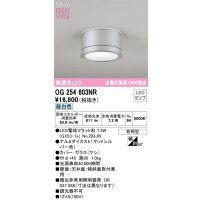 オーデリック OG254603NR(ランプ別梱) エクステリア ポーチライト LEDランプ 昼白色 高演色LED 防雨型 マットシルバー