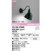 オーデリック OG254676NR(ランプ別梱) エクステリア ポーチライト LEDランプ 昼白色 高演色LED 防雨型 黒色