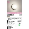 オーデリック OG254822R エクステリア ポーチライト LED一体型 電球色 高演色LED 防雨・防湿型 黒色