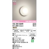 オーデリック OG254824R エクステリア ポーチライト LED一体型 電球色 高演色LED 防雨・防湿型 マットシルバー