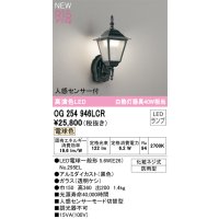 オーデリック OG254946LCR(ランプ別梱) エクステリア ポーチライト LEDランプ 電球色 高演色LED 人感センサー付 防雨型 黒色