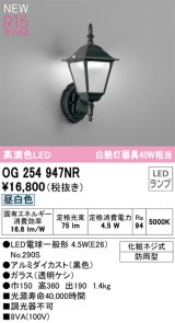 オーデリック OG254947NR(ランプ別梱) エクステリア ポーチライト LEDランプ 昼白色 高演色LED 防雨型 黒色