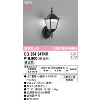 オーデリック OG254947NR(ランプ別梱) エクステリア ポーチライト LEDランプ 昼白色 高演色LED 防雨型 黒色