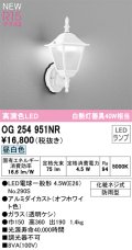 オーデリック OG254951NR(ランプ別梱) エクステリア ポーチライト LEDランプ 昼白色 高演色LED 防雨型 オフホワイト