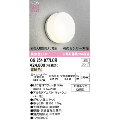 画像1: オーデリック OG254977LCR(ランプ別梱) エクステリア ポーチライト LEDランプ 電球色 高演色LED 防雨型 マットシルバー