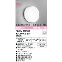 オーデリック OG254977NCR(ランプ別梱) エクステリア ポーチライト LEDランプ 昼白色 高演色LED 防雨型 マットシルバー