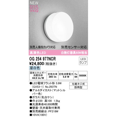 画像1: オーデリック OG254977NCR(ランプ別梱) エクステリア ポーチライト LEDランプ 昼白色 高演色LED 防雨型 マットシルバー