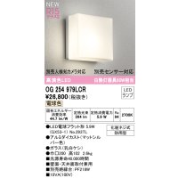 オーデリック OG254979LCR(ランプ別梱) エクステリア ポーチライト LEDランプ 電球色 高演色LED 防雨型 マットシルバー