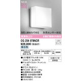 オーデリック OG254979NCR(ランプ別梱) エクステリア ポーチライト LEDランプ 昼白色 高演色LED 防雨型 マットシルバー