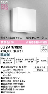 オーデリック OG254979NCR(ランプ別梱) エクステリア ポーチライト LEDランプ 昼白色 高演色LED 防雨型 マットシルバー