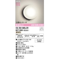 オーデリック OG254985LCR(ランプ別梱) エクステリア ポーチライト LEDランプ 電球色 高演色LED 人感センサー付 防雨型 黒色