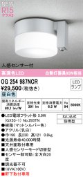 オーデリック OG254987NCR(ランプ別梱) エクステリア ポーチライト LEDランプ 昼白色 高演色LED 人感センサー付 防雨型 マットシルバー