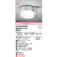 オーデリック OG254987NCR(ランプ別梱) エクステリア ポーチライト LEDランプ 昼白色 高演色LED 人感センサー付 防雨型 マットシルバー
