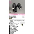 オーデリック OG264089LR(ランプ別梱) エクステリア スポットライト LEDランプ 電球色 高演色LED 人感センサー付 防雨型 黒色サテン