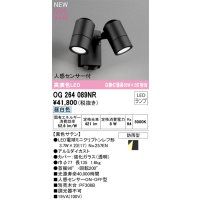 オーデリック OG264089NR(ランプ別梱) エクステリア スポットライト LEDランプ 昼白色 高演色LED 人感センサー付 防雨型 黒色サテン