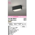 オーデリック OG264099LR エクステリア ポーチライト LED一体型 電球色 高演色LED 防雨型 黒色