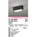 オーデリック OG264099NR エクステリア ポーチライト LED一体型 昼白色 高演色LED 防雨型 黒色