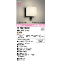 オーデリック OG264110LCR(ランプ別梱) エクステリア ポーチライト LEDランプ 電球色 高演色LED 人検知カメラ付 防水パッキンレス型 防雨型 黒色